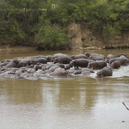 Ngerende Island Lodge (Adults Only) Maasai Mara Luaran gambar
